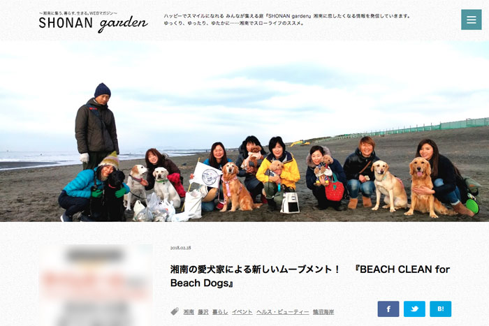 BEACH CLEAN for Beach Dogs