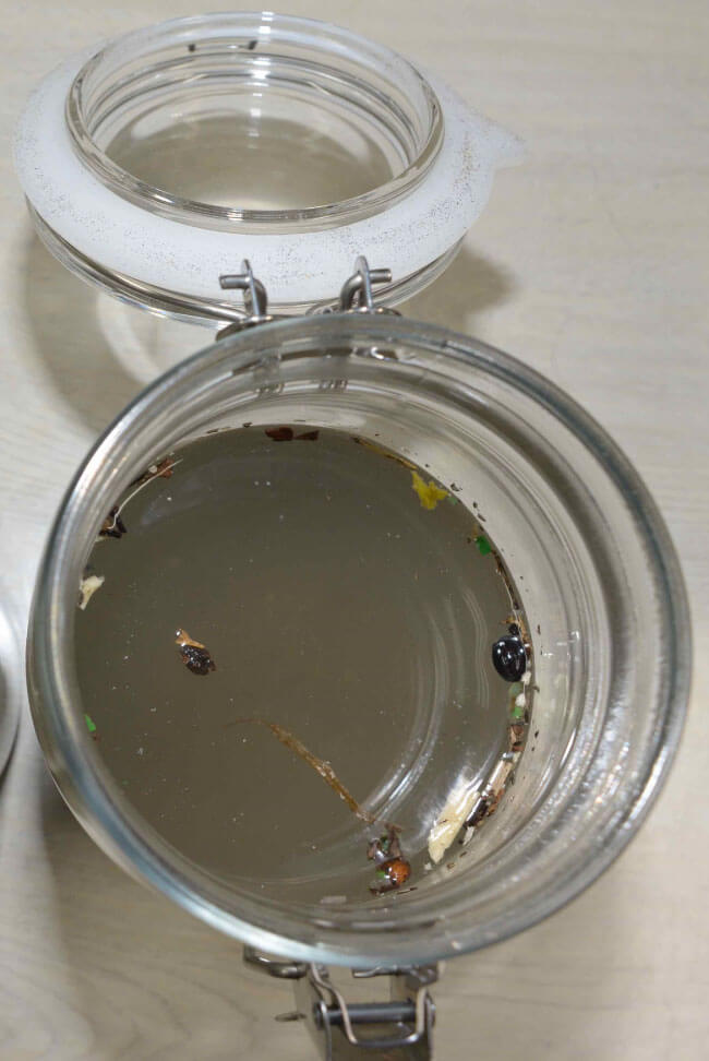 プラスチック片が浮いたビン