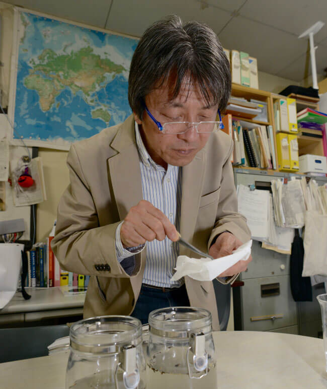 プラスチック片を取り出す